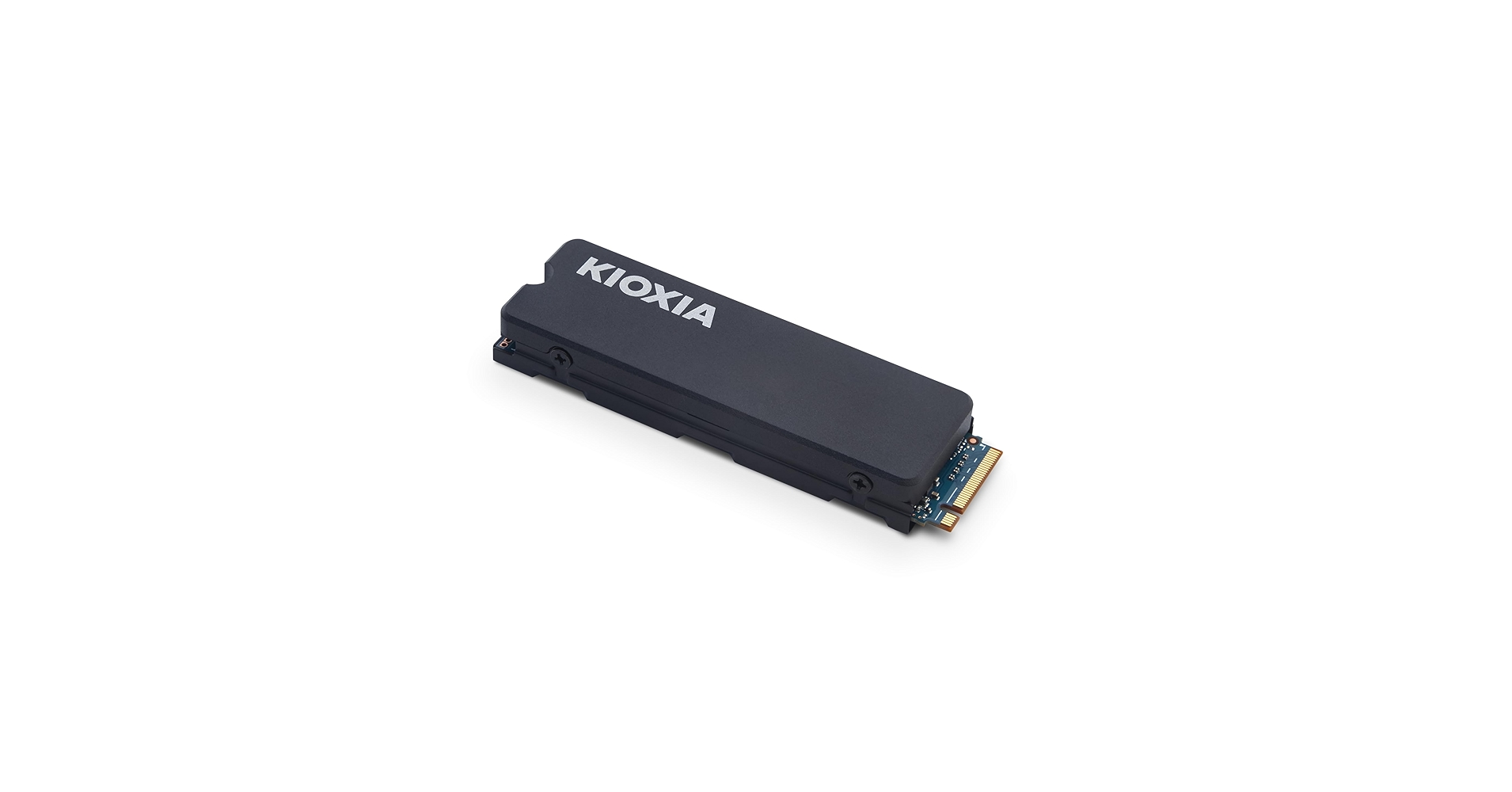 Amazon.com: KIOXIA EXCERIA with Heatsink NVMe™ SSD 1TB